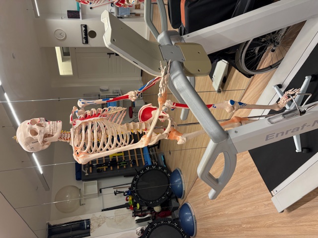 R&eacute;gularit&eacute; et retour aux activit&eacute;s